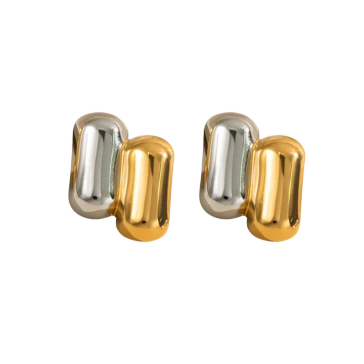 Ivanna Two Tone Earrings