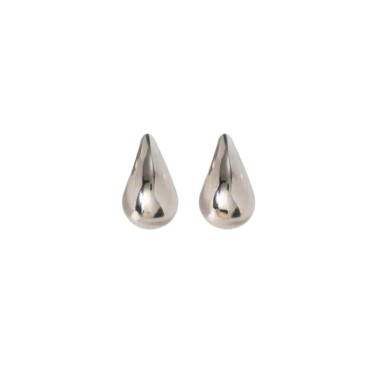 Vottega Silver Small Earrings