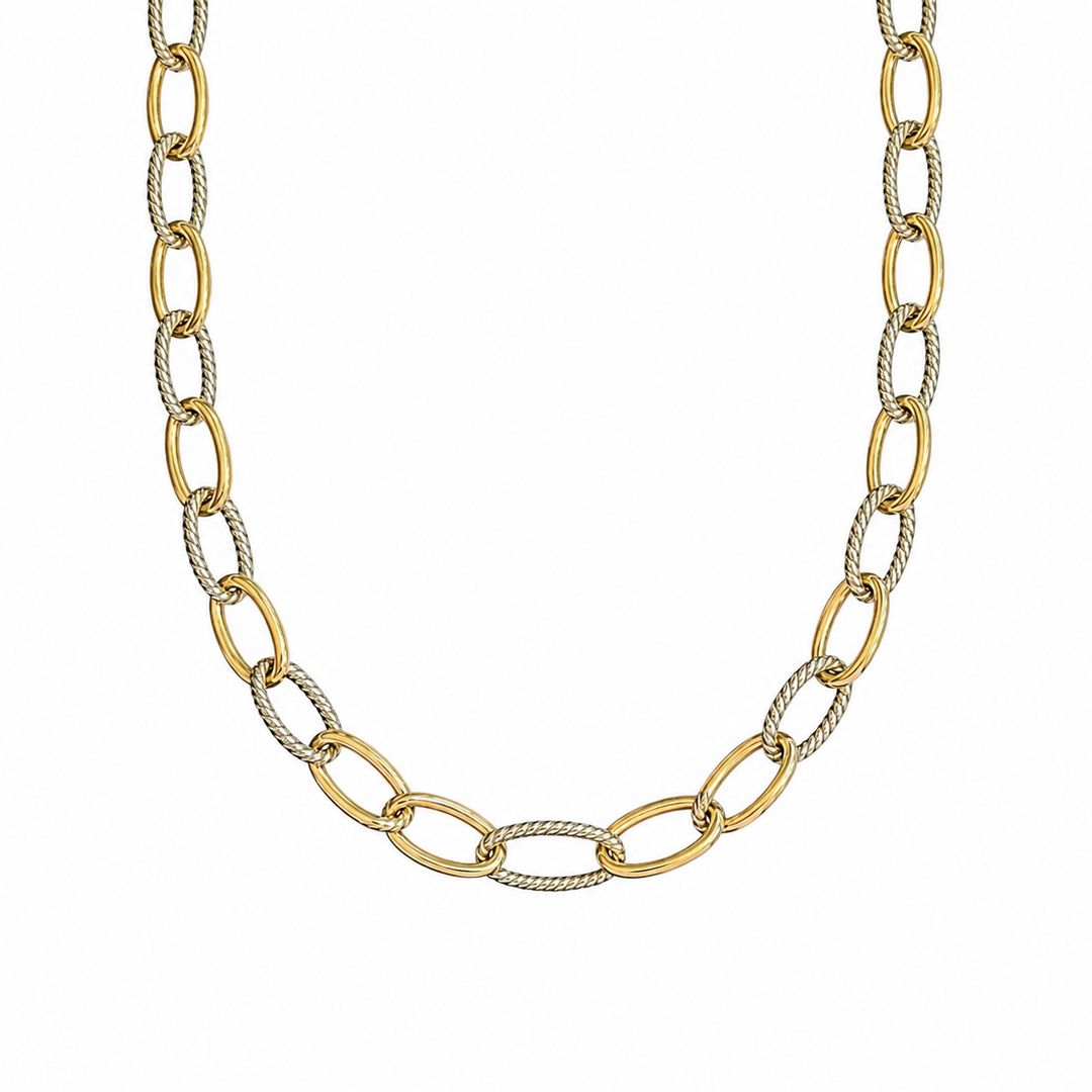 Emma Two-tone Link Necklace