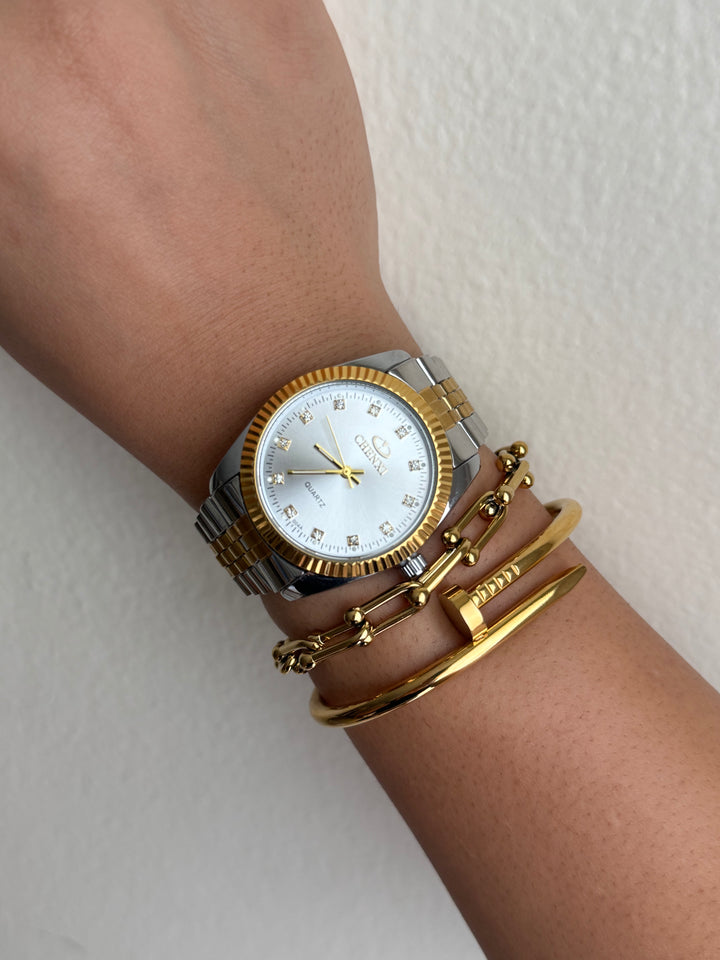 Classy Two-tone Watch