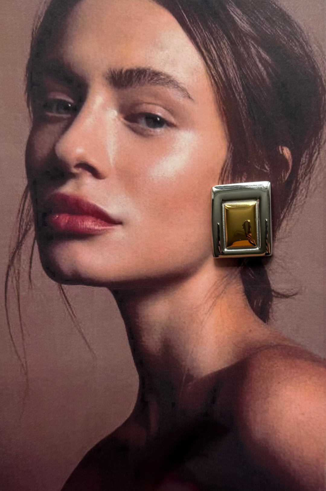 Cindy Two Tone Earrings