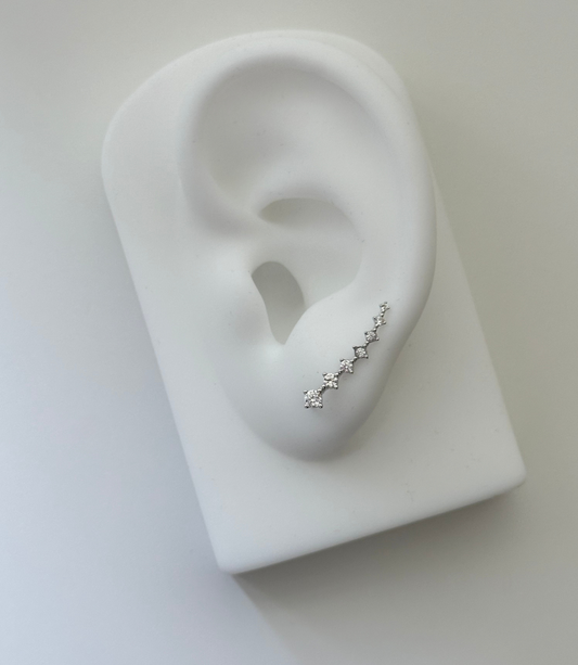 Fab Earrings