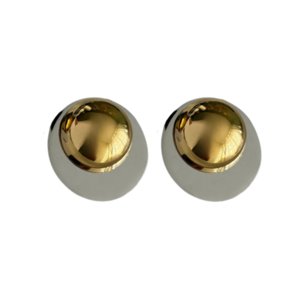 Glam Two Tone  Earrings