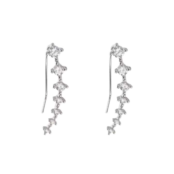 Fab Earrings